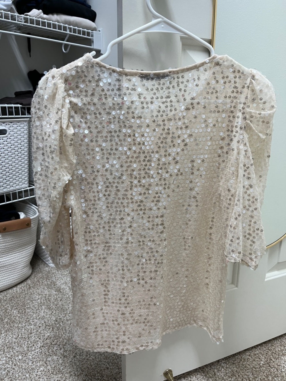 ZARA Cream Sequin Mesh Shell Top - Picture 7 of 7